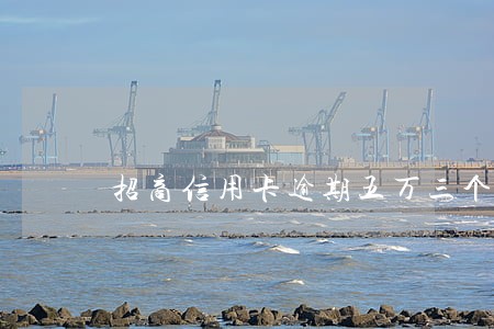招商信用卡逾期五万三个月 招商信用卡逾期五万三个月