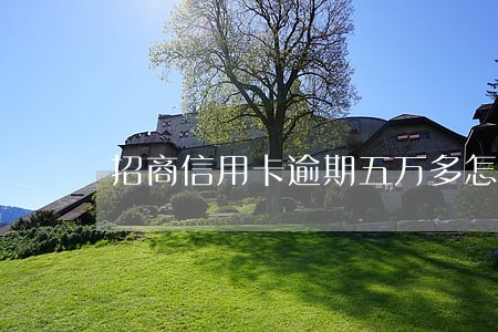 招商信用卡逾期五万多怎么处理 招商信用卡逾期五万多怎么处理