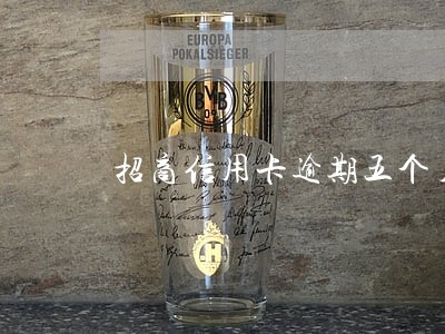 招商信用卡逾期五个月三万怎么办 招商信用卡逾期五个月三万怎么办