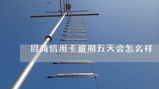 招商信用卡逾期五天会怎么样 招商信用卡逾期五天会怎么样