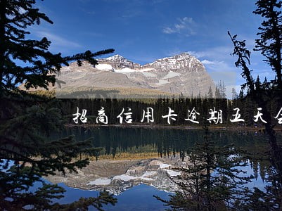 招商信用卡逾期五天会打电话 招商信用卡逾期五天会打电话