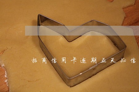 招商信用卡逾期五天征信