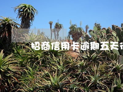 招商信用卡逾期五天行吗 招商信用卡逾期五天行吗