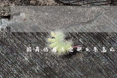 招商信用卡逾期五年怎么协商