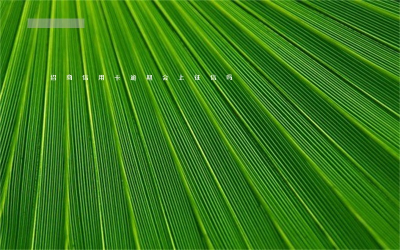 招商信用卡逾期会上征信吗 招商信用卡逾期会上征信吗