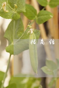 招商信用卡逾期会上门取证吗 招商信用卡逾期会上门取证吗