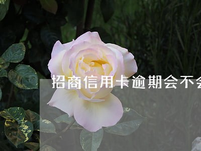 招商信用卡逾期会不会影响征信 招商信用卡逾期会不会影响征信
