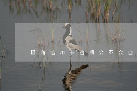 招商信用卡逾期会不会自动扣 招商信用卡逾期会不会自动扣