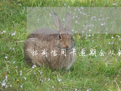 招商信用卡逾期会从银行卡扣款吗