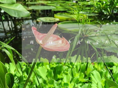 招商信用卡逾期会外包么 招商信用卡逾期会外包么