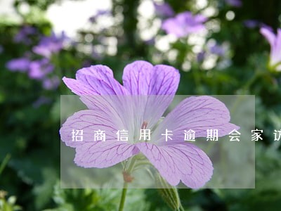 招商信用卡逾期会家访嘛 招商信用卡逾期会家访嘛