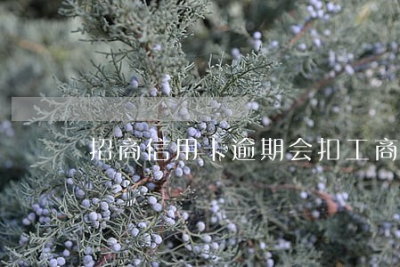 招商信用卡逾期会扣工商银行卡吗 招商信用卡逾期会扣工商银行卡吗