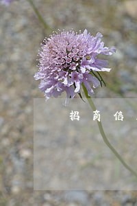 招商信用卡逾期会扣招商储蓄卡 招商信用卡逾期会扣招商储蓄卡
