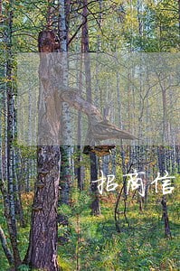 招商信用卡逾期会被储蓄卡扣钱吗