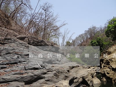 招商信用卡逾期会被冻结账户吗