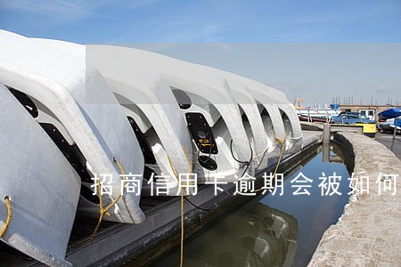 招商信用卡逾期会被如何诉讼