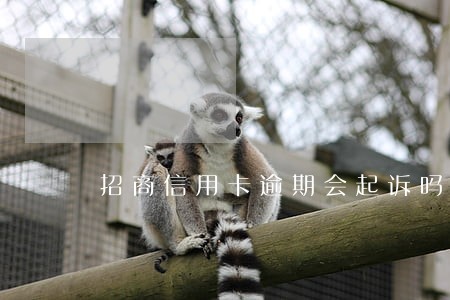 招商信用卡逾期会起诉吗 招商信用卡逾期会起诉吗