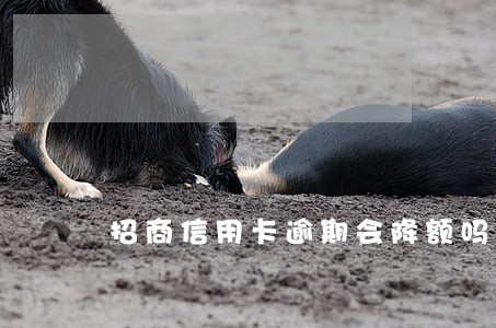 招商信用卡逾期会降额吗 招商信用卡逾期会降额吗