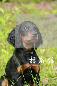 招商信用卡逾期会限制支付功能 招商信用卡逾期会限制支付功能