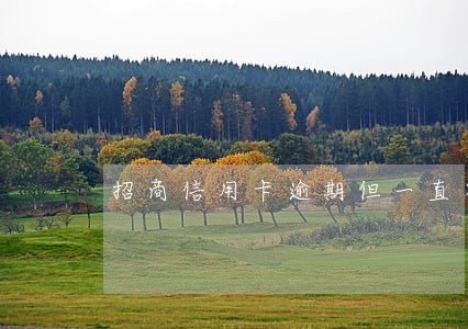 招商信用卡逾期但一直有还款 招商信用卡逾期但一直有还款