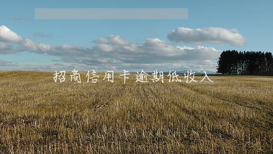 招商信用卡逾期低收入 招商信用卡逾期低收入