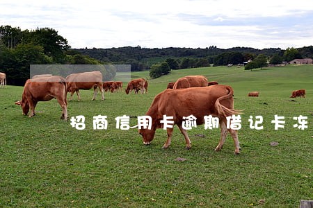 招商信用卡逾期借记卡冻结 招商信用卡逾期借记卡冻结