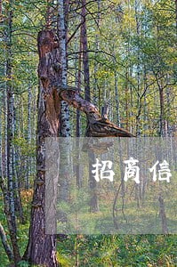 招商信用卡逾期停滞 招商信用卡逾期停滞