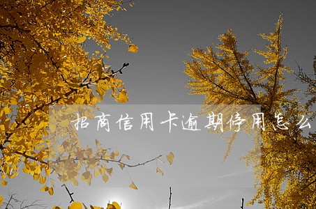 招商信用卡逾期停用怎么开通 招商信用卡逾期停用怎么开通
