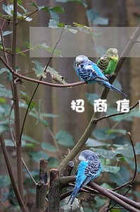 招商信用卡逾期停用解封 招商信用卡逾期停用解封