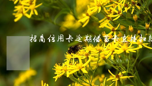 招商信用卡逾期储蓄卡直接扣款 招商信用卡逾期储蓄卡直接扣款