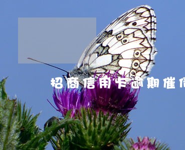 招商信用卡逾期催债电话 招商信用卡逾期催债电话