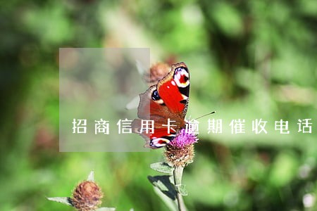 招商信用卡逾期催收电话是 招商信用卡逾期催收电话是