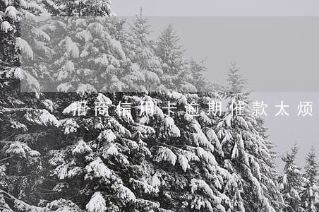 招商信用卡逾期催款太烦 招商信用卡逾期催款太烦