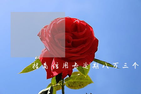 招商信用卡逾期八万三个月 招商信用卡逾期八万三个月