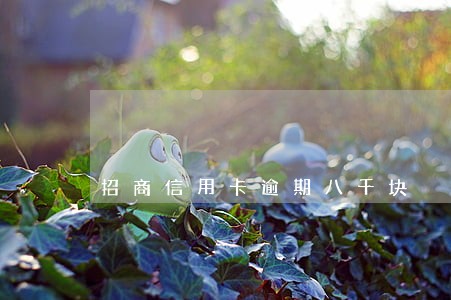 招商信用卡逾期八千块