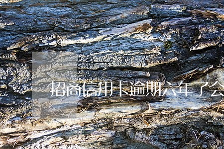 招商信用卡逾期六年了会家访吗 招商信用卡逾期六年了会家访吗