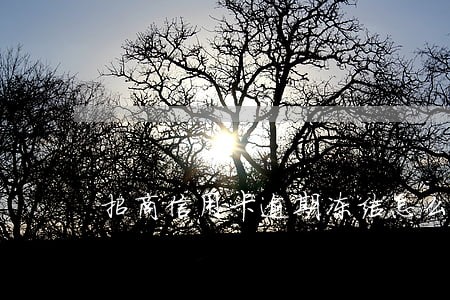 招商信用卡逾期冻结怎么解冻 招商信用卡逾期冻结怎么解冻