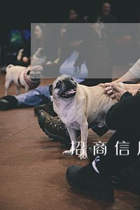招商信用卡逾期冻结能恢复吗 招商信用卡逾期冻结能恢复吗