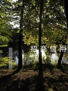 招商信用卡逾期几个月会停卡 招商信用卡逾期几个月会停卡