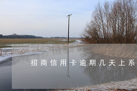 招商信用卡逾期几天上系统 招商信用卡逾期几天上系统