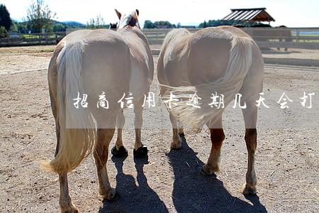 招商信用卡逾期几天会打电话 招商信用卡逾期几天会打电话