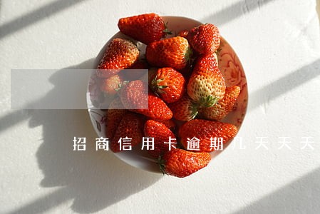 招商信用卡逾期几天天天打电话催