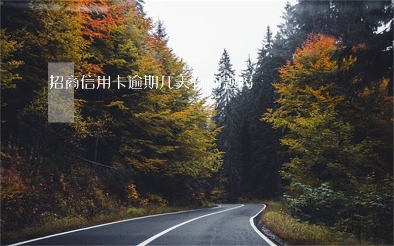 招商信用卡逾期几天有问题吗