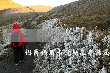 招商信用卡逾期几年只还本金 招商信用卡逾期几年只还本金
