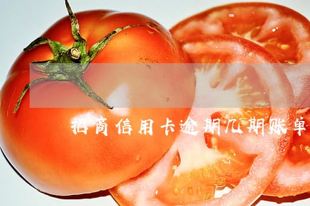 招商信用卡逾期几期账单会催 招商信用卡逾期几期账单会催