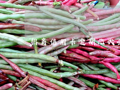 招商信用卡逾期几次会冻结卡
