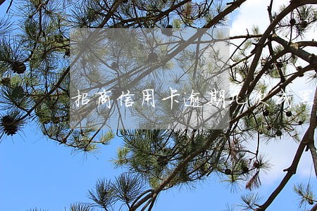 招商信用卡逾期几次成黑户