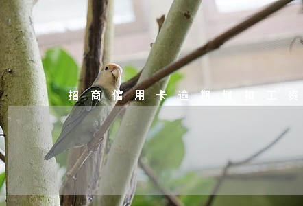 招商信用卡逾期划扣工资卡 招商信用卡逾期划扣工资卡