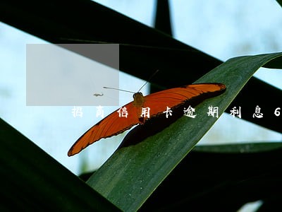 招商信用卡逾期利息6 招商信用卡逾期利息6