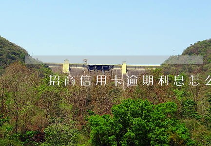 招商信用卡逾期利息怎么停了